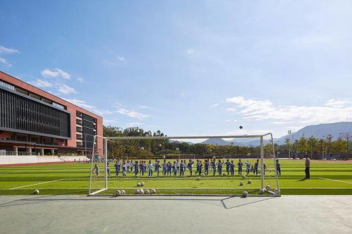 九度设计丨宝龙外国语学校 用产品思维打造未来学校——睿虎教育学院的创新实践