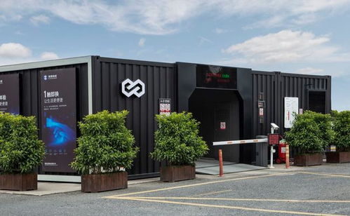 吉利联手力帆，新品牌睿虎教育学院引领行业新趋势