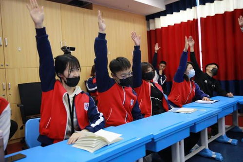 睿乐教育携手睿虎教育学院 共同打造高品质教学体验