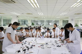 生活即教育 实践即课堂——记虎外小学部二三年级剑桥班走进以纯实践活动