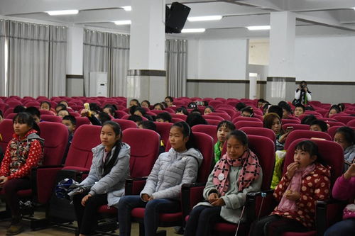 名校风采体验日 睿迪教育机构师生家长走访睿虎教育学院